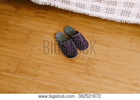 Warm Felt Purple Slippers Made Of Piled Sheeps Wool, Stand On A Wooden Floor Of Laminate