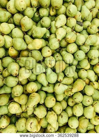 Lots Of Ripe Fruit Green Pears For Eating Like A Background