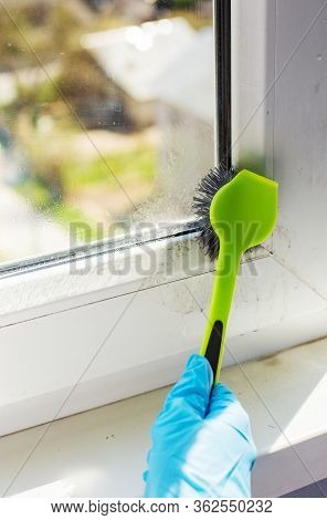 Woman In Protective Blue Gloves Washes A Coner Of Window Using Brush. The Concept Of Cleanliness