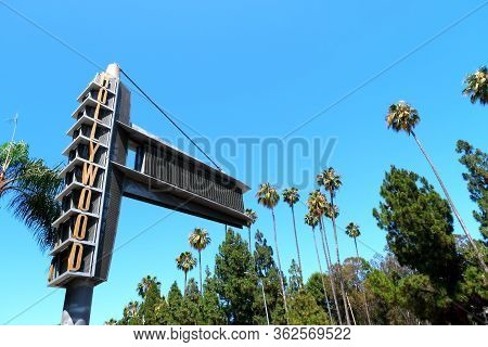 Palm Trees On The Streets Of Los Angeles
Colorful Palm Tree Background For Web Design.
