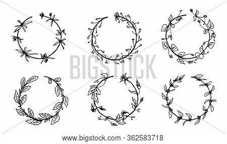 Wild Herbs, Drawn By A Black Line On A White Background. Vector. Set. Hand Drawing.