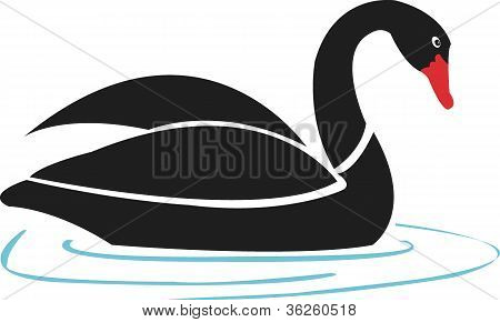 goose