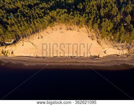 Beautiful Drone Areal Photography View Of Large Dune And Pine Forest Near River Lielupe. Photo Taken