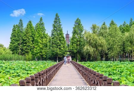 Tourists Walk Across The Wooden Bridge To The Pagoda, Jinshan Temple In Zhenjiang, China.