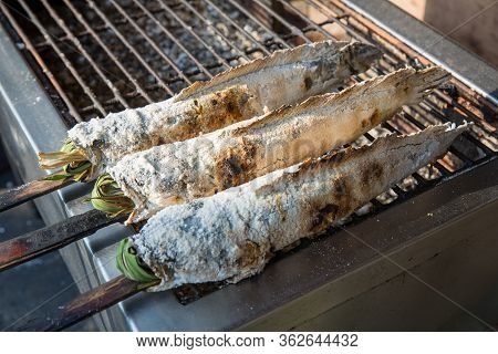 Striped Snakehead Fish Grilled With Salt. Pomegranate Fish With Salt And Then Burned For Sales In Th