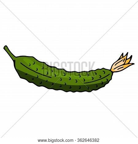 Little Cucumber On White Background. Vector Image.