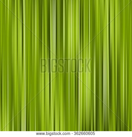 Striped Abstract Background. Nature Concept. Vector Illustration