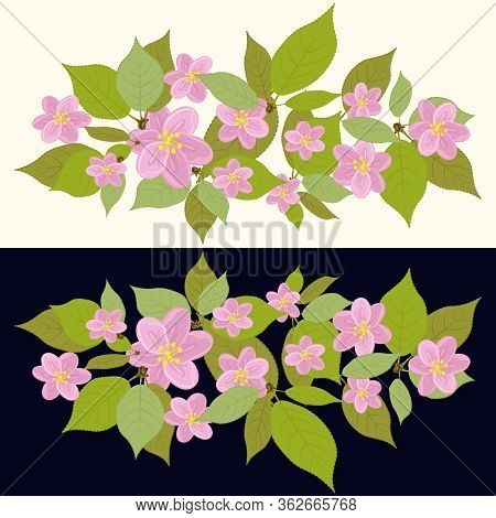 Cherry Blossom Composition. Hand Drown Pattern On Two Backgrounds For Banner, T Shirt, Print And Des