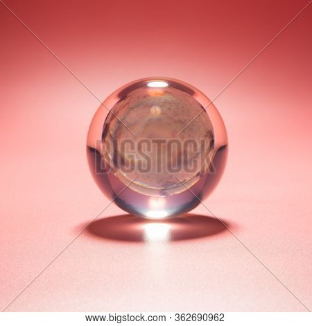 Seashell In A Glass Ball On A Pink Background