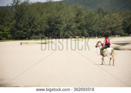 Songkhla, Thailand - August 17 : Thai People Cowboy Riding Horse On Beach Waiting Foreigner Traveler
