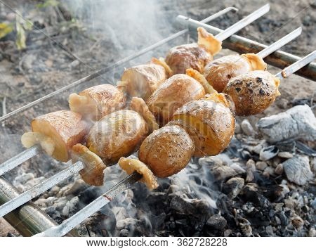 Potato On A Skewer. Cooking Barbecue On The Nature. Potato With Bacon, Appetizing Kebab.