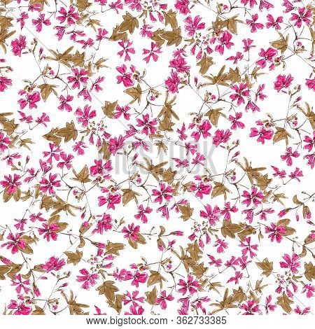 Seamless Pattern From Drawing Blooming Pink Wild Malva Silvestris