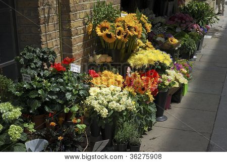 Loja de florista em Southwark. Londres. REINO UNIDO