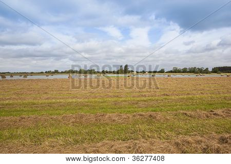 น้ำท่วม Fieldscape