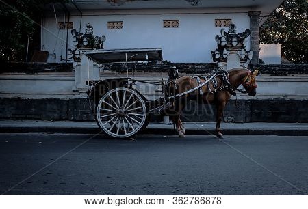 One Of The Transportation That Is Quite Famous In Our Country, We Call It Delman
