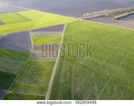 Small Agricultural Plantations With Different Crops And Growing Crops In Rural Areas.