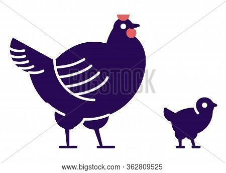 Chicken With Chick Flat Vector Illustration. Domestic Bird Breeding Concept. Dark Blue Hen Isolated 