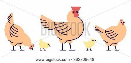 Chicken Flat Vector Illustration. Isolated Orange Rooster, Hens And Yellow Cute Chicks. Hennery, Pou