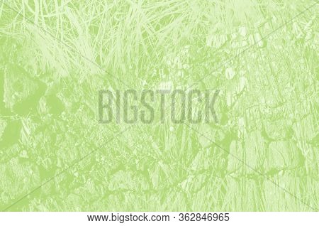 Abstract Light Green Background With Copy Space For Design.