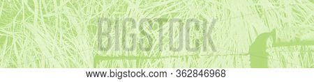 Abstract Light Green Background With Copy Space For Design.