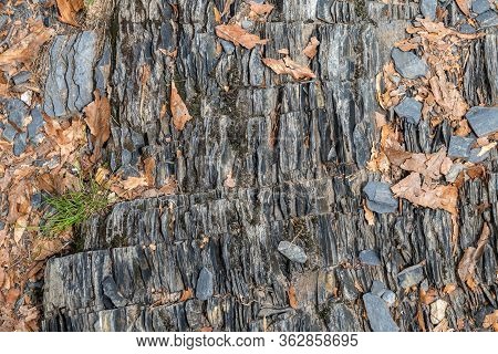 Natural Layered Stone Texture. Rock Texture. Cliff Surface. Layered Rock. Beautiful Natural Stone. R