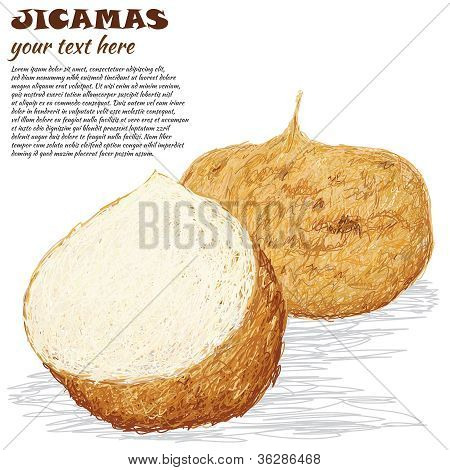 Jicamas