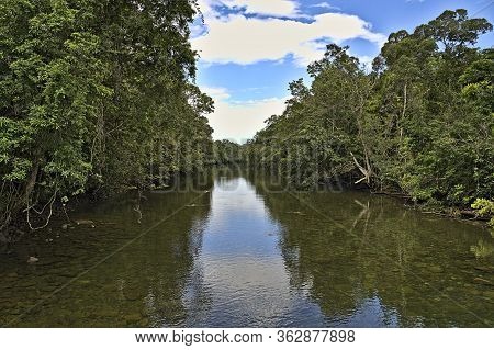 View From A Bridge At Bloomfield River In The Daintree Rainforest