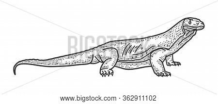 Monitor Lizard Varanus Sketch Engraving Vector Illustration. T-shirt Apparel Print Design. Scratch B