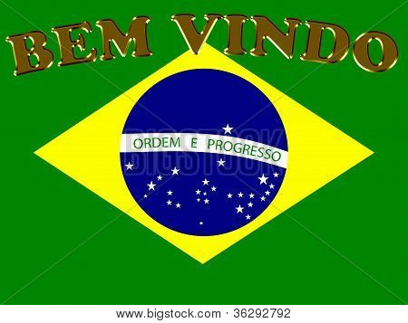 ブラジルへの境界要素法 Vindo