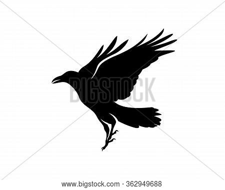 Raven Bird Logo Vector Template, Black Silhouette Of A Crow On An Isolated Background