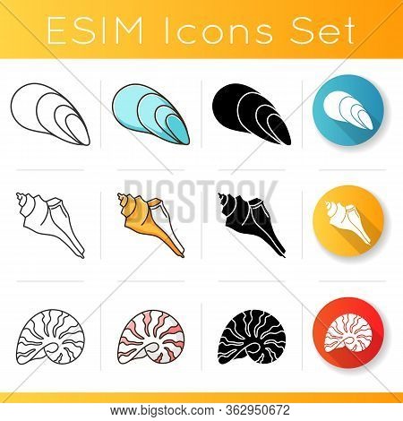 Seashells Icons Set. Linear, Black And Rgb Color Styles. Different Mollusk Shells, Conchology. Decor