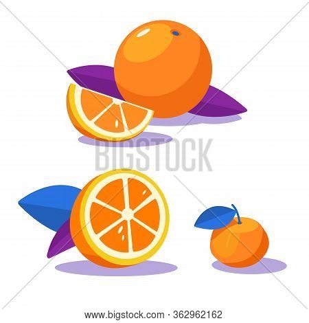 Set Of Fresh Citruses. Oranges And Mandarin With Leaf. Half Of Orange, Chopped Orange. Slice. Elemen