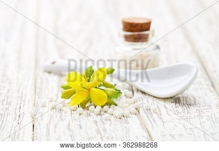 Homeopathic helidonium globules with helidonium majus flower