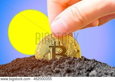 Legalization Of Bitcoin In Palau. Planting Bitcoin In The Ground On The Background Of The Flag Of Pa