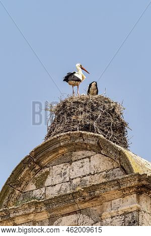 Storks On The Church Of Santa Maria In Maderuelo In The Segovia Province Castile Leon Spain