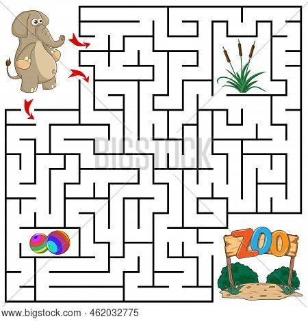 Help Elephant To Find The Right Path To The Grass, Balls And Zoo. Three Entrances, One Exit. Answer