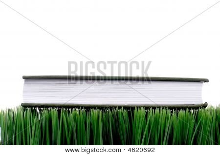 หนังสือเล่มสีเขียวบน