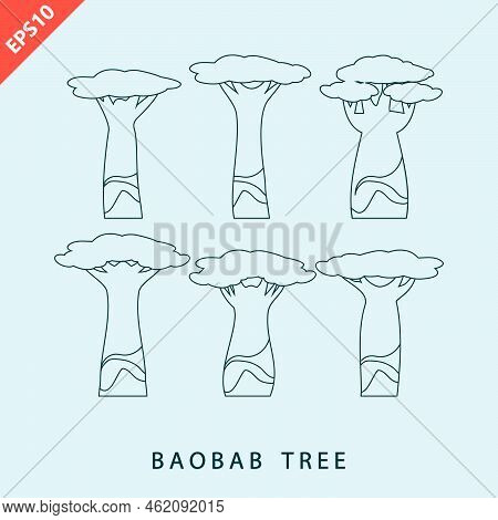 Baobab Tree Design Vector Flat Modern Isolated Illustration