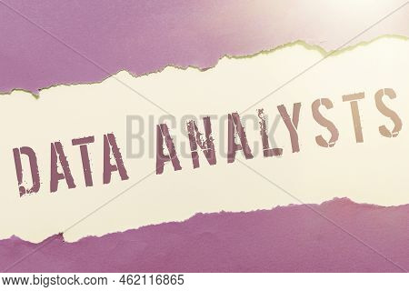 Text Sign Showing Data Analysts. Word For Programmer Design And Create Report Identifies Patterns