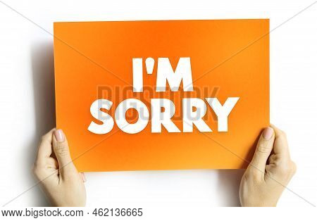 I'm Sorry - Text Quote, Concept Background