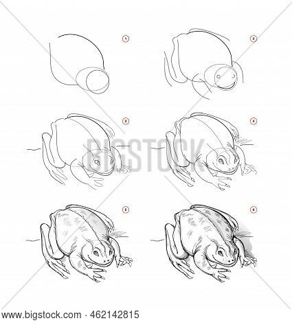 Page Shows How To Learn To Draw Sketch Of Toad. Creation Step By Step Pencil Drawing. Educational Pa