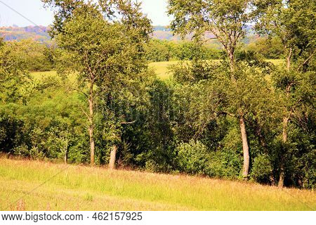 Rolling Hills Covered With Deciduous Forests And Grasslands Taken At The Rural Countryside In Atchis