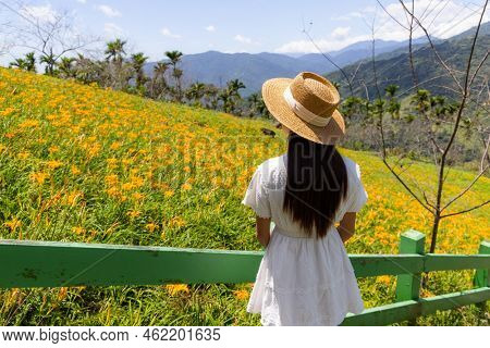 Tourist woman visit the Orange day lily flower field on mountain in Taimali of Taitung