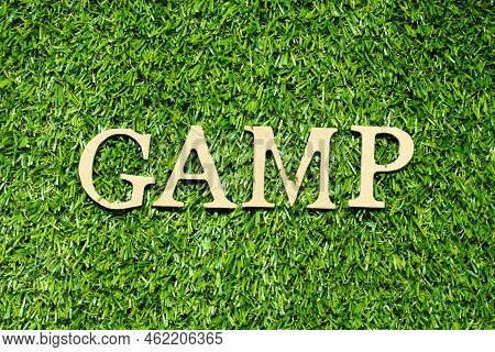 Wood Alphabet Letter In Word Gamp (abbreviation Of Good Automated Manufacturing Practice) On Green G