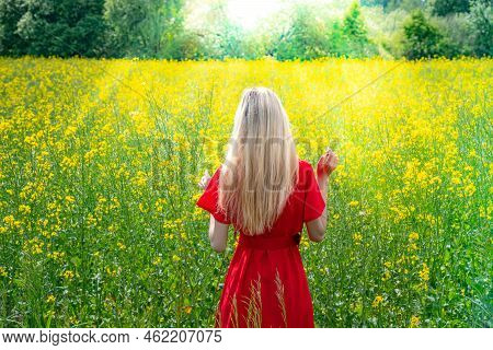 Beautiful Girl In A Flowering Field In A Red Dress. Sunbeams, Glare, Light Leaks And Sun Rays. Young