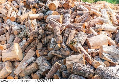A Large Pile Of Sawn Firewood Background, A Sawn Tree, Preparation Of Firewood For The Winter, Firew