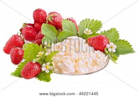 สตรอเบอร์รี่และเนยแข็งคอทเทจ