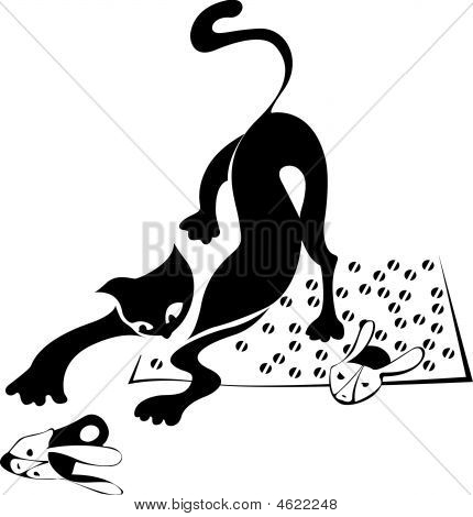 Zwarte kat