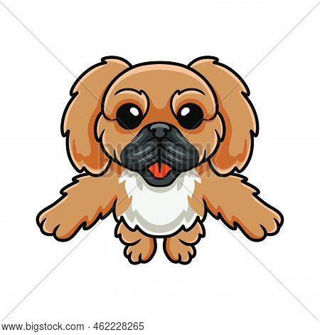 Vector Illustration Of Cute Little Pekingese Dog Cartoon