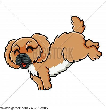 Vector Illustration Of Cute Little Pekingese Dog Cartoon